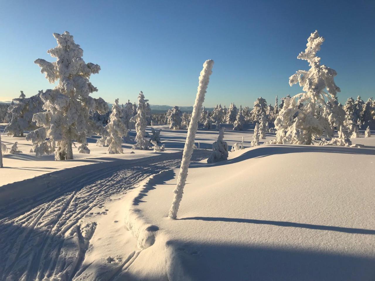 Tyrifjord Hotell Vikersund Exteriér fotografie